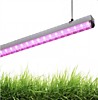 Светильник Smartbuy SBL-Fito-18W 18Вт IP20 1200мм для роста растений (без провода с вилкой) (30)