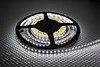 Лента General 12B IP65 4.8Вт/м 6500К 3528 60LED/m 5м Лента General 12B IP65 4.8Вт/м 6500К 3528 60LED/m 5м