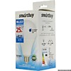 Лампа Smartbuy A95 25Вт 6000К E27 2700Лм (100) Лампа Smartbuy A95 25Вт 6000К E27 2700Лм (100)