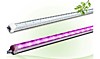 Светильник ЭРА LLED-05-T5 18Вт ФИТО 1195*21*33 ярко розовое свечение (25)