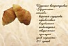 Круассан С Начинкой Вареная Сгущенка 2,0 кг К24