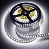 Лента General 12B 9.6Вт/м 6500К 3528 120LED/м 5м IP20 